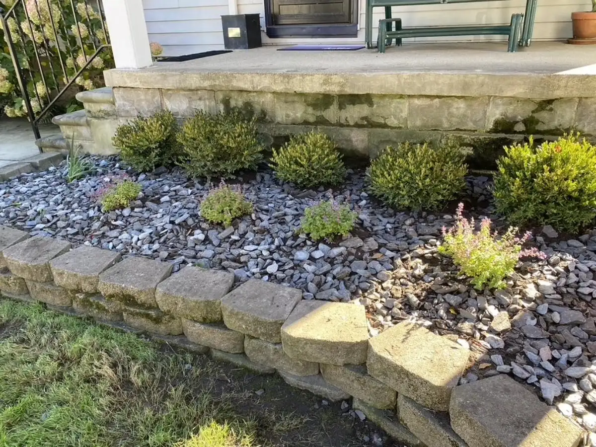 Close-up of retaining wall construction with boxwood shrubs and rock mulch