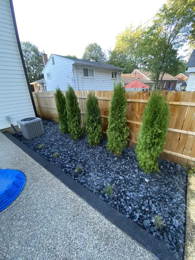 Evergreen privacy planting with decorative stone beside a Warren-area home