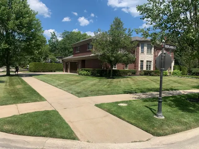 Clean residential lawn maintained with an even cut and healthy turf color