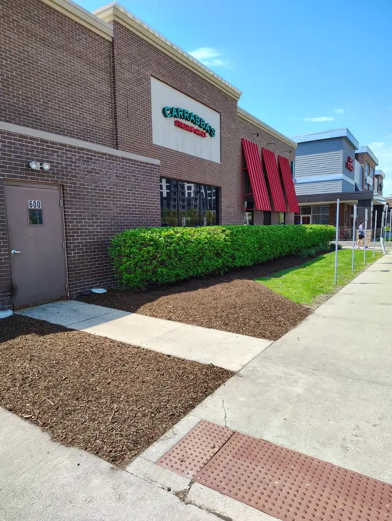Lush green lawn after routine maintenance service