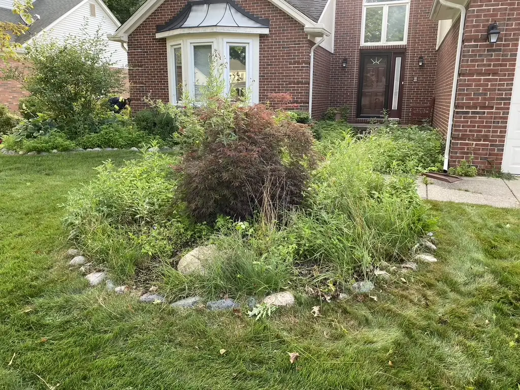 Freshly mowed residential lawn with clean edges