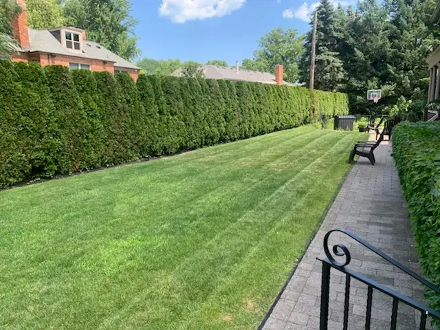 Professional lawn mowing with crisp striping pattern