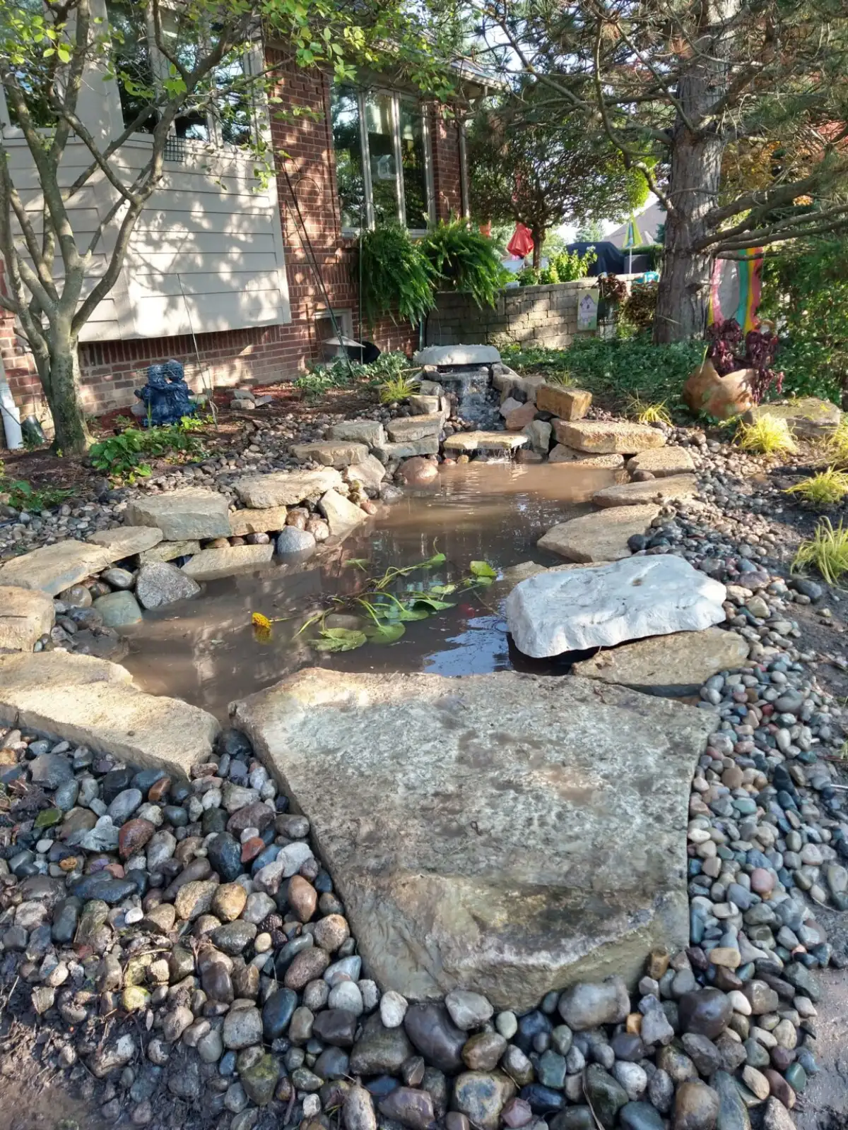 Family enjoying a backyard pond with natural stone edge and Japanese maple