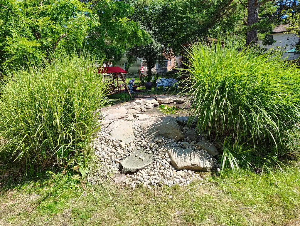 Natural stream bed water feature with ornamental grasses