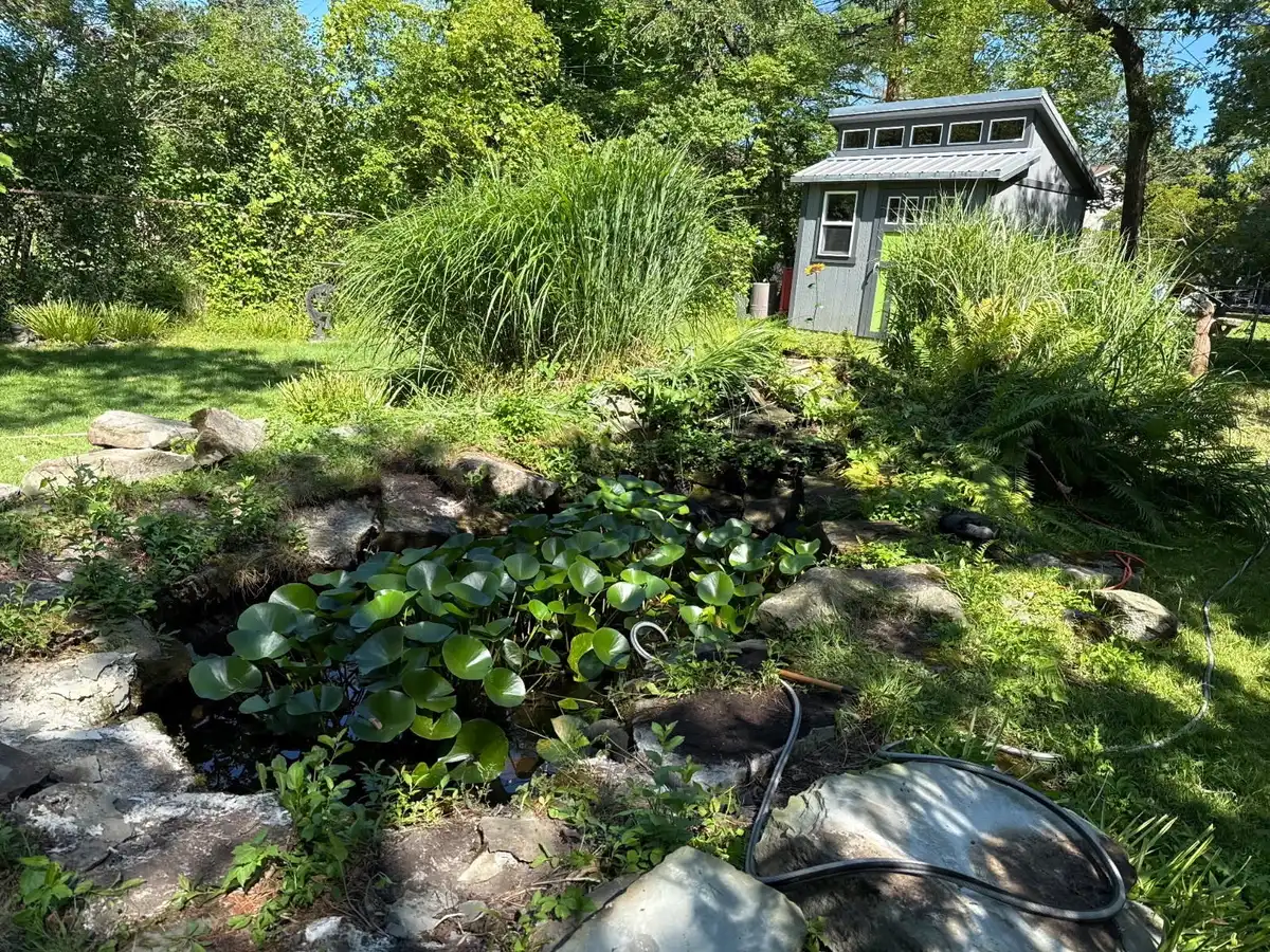 Cascading stone waterfall feature in residential backyard