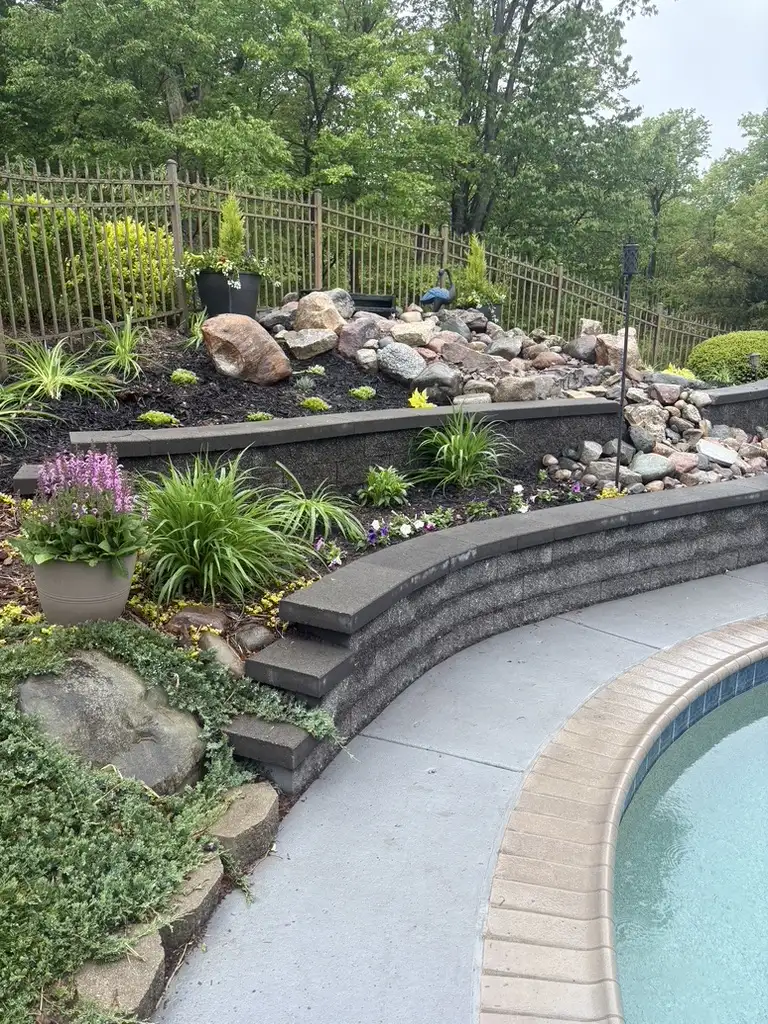 Established koi pond with stone edging and healthy aquatic planting